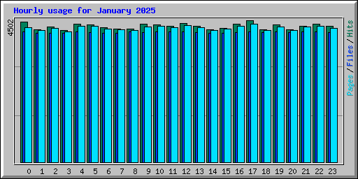 Hourly usage for January 2025