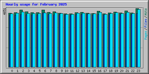 Hourly usage for February 2025