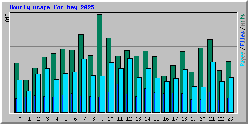 Hourly usage for May 2025