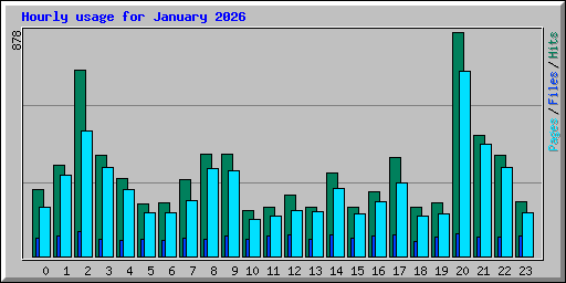 Hourly usage for January 2026
