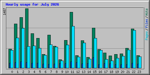 Hourly usage for July 2026